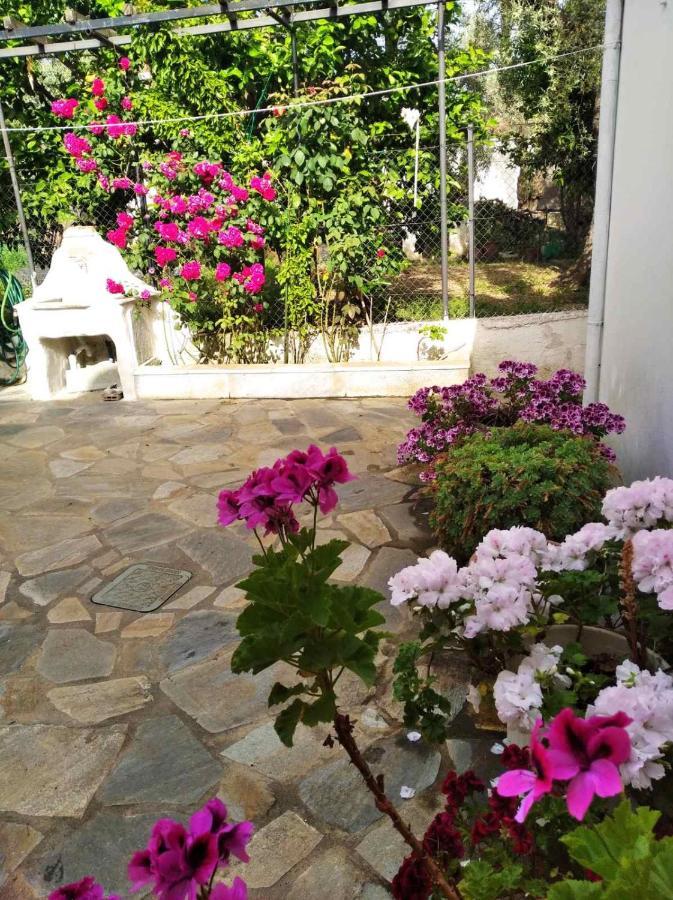 Vila Asteria House Kala Nera Exteriér fotografie